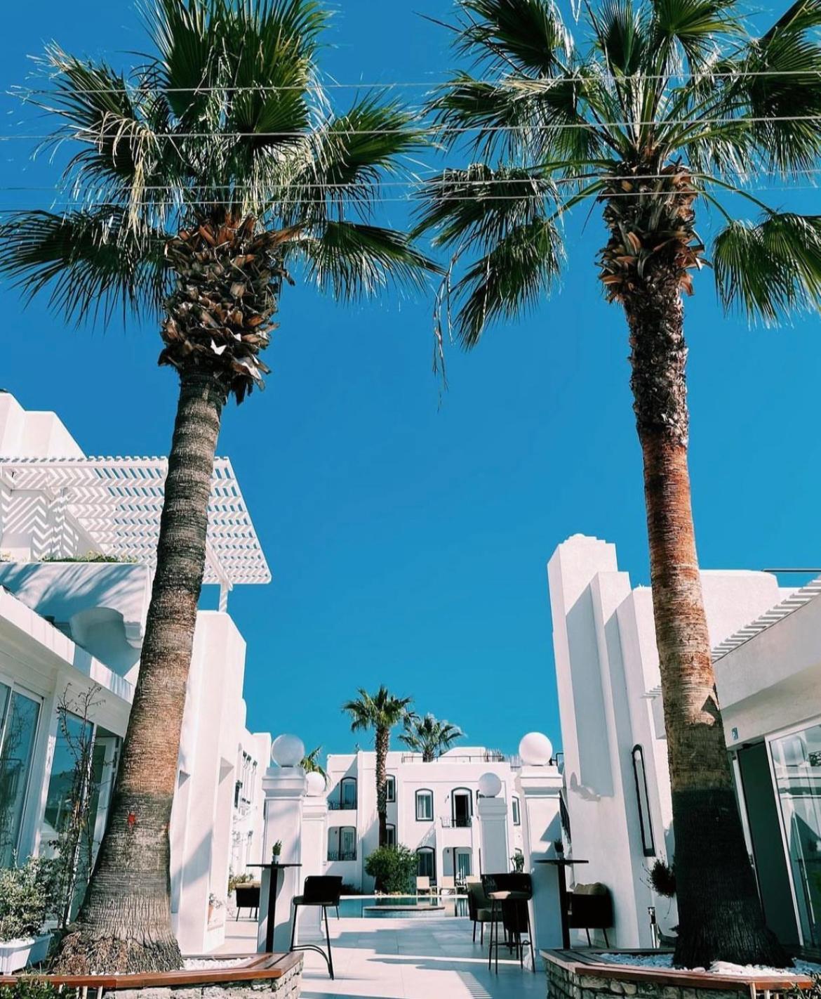 Yalinn Boutique Hotel Yalıkavak Kültér fotó